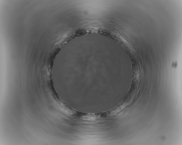 X0000093130661200710241323