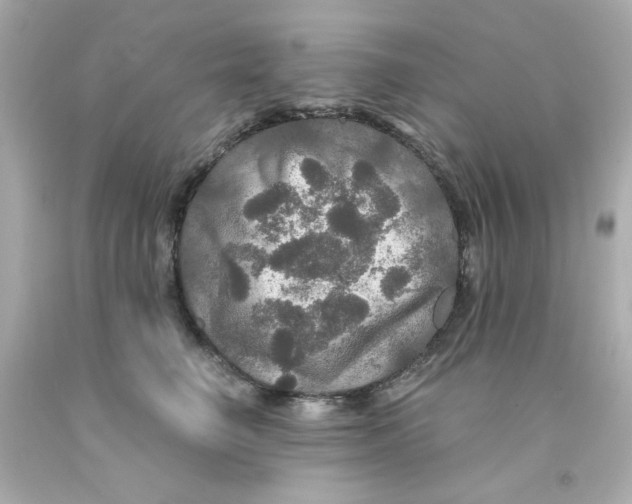 X0000093130662200710241323