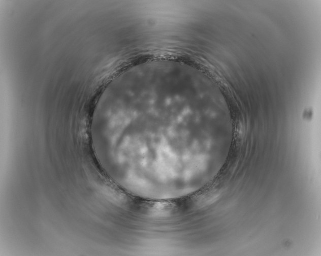 X0000093130663200710241323