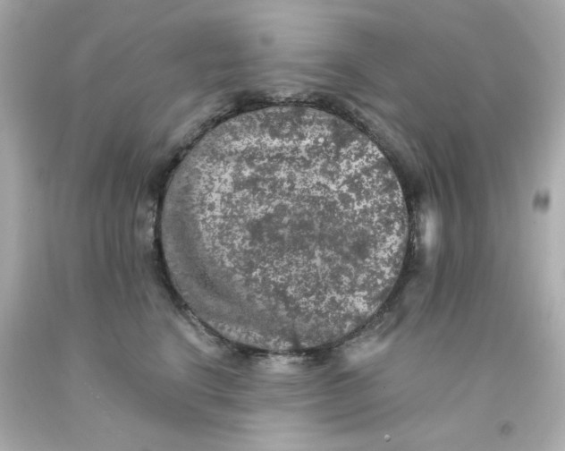 X0000093130664200710241323