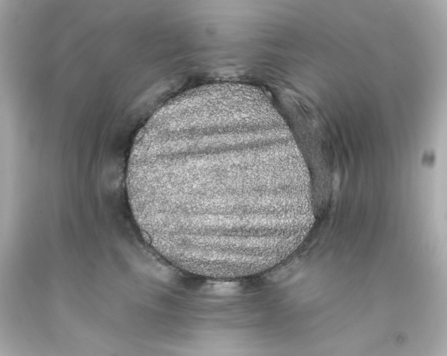 X0000093130665200710241323