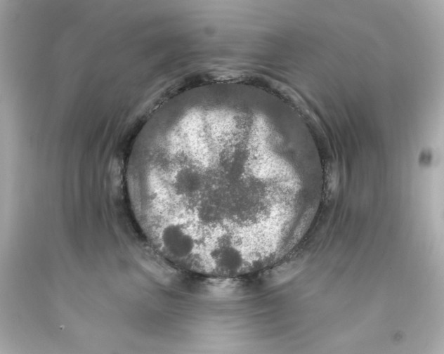 X0000093130667200710241323