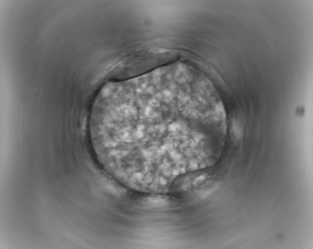 X0000093130668200710241324