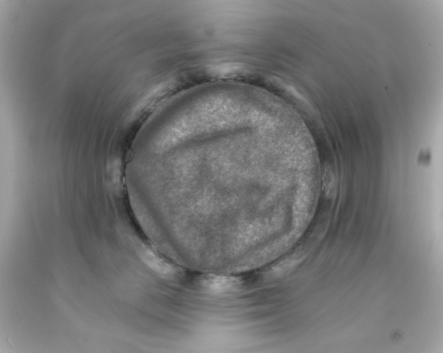 X0000093130670200710241324