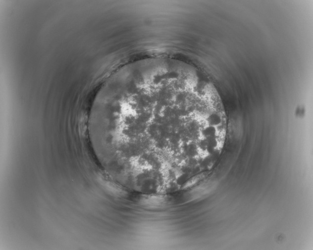 X0000093130671200710241324