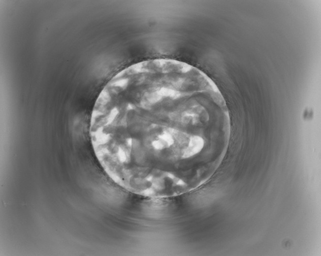 X0000093130672200710241324