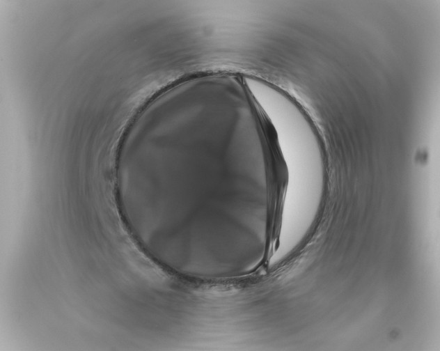 X0000093130673200710241323