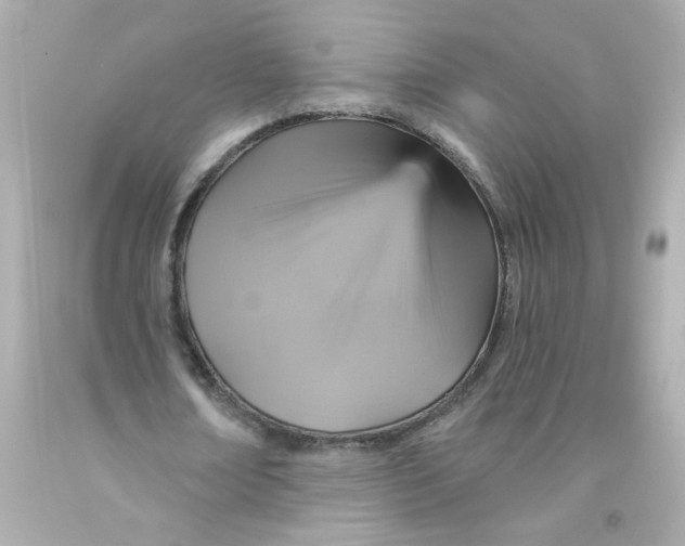 X0000093130674200710241323