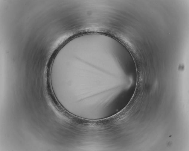 X0000093130678200710241323