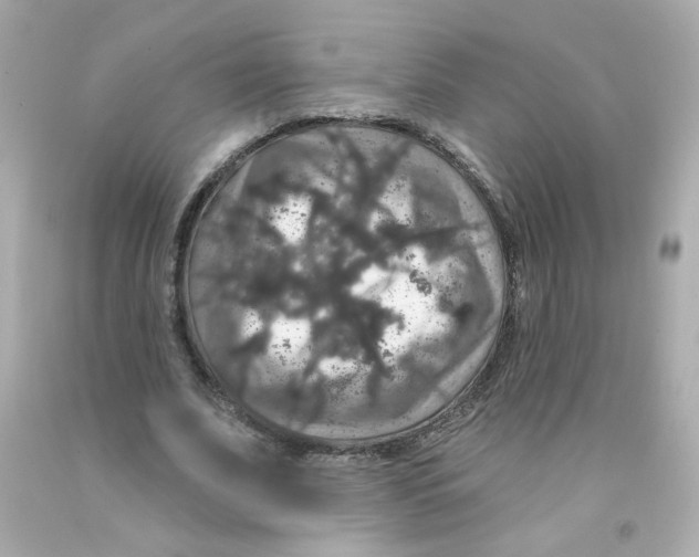 X0000093130679200710241323