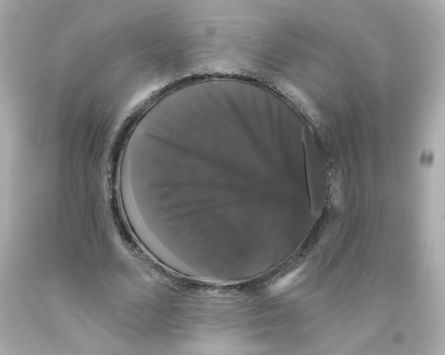 X0000093130680200710241323