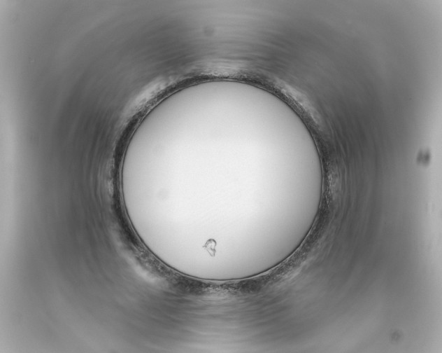 X0000093130682200710241323