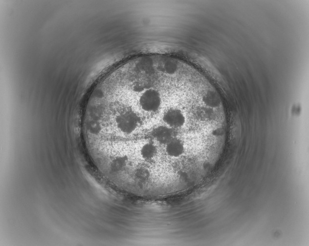 X0000093130683200710241323