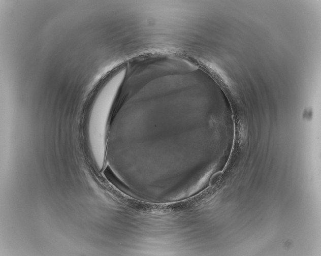 X0000093130684200710241323