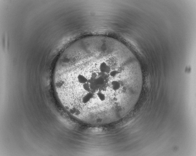 X0000093130687200710241323