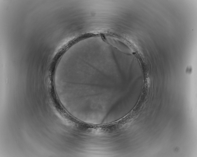 X0000093130688200710241323