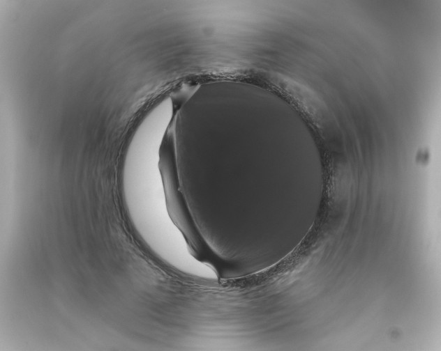 X0000093130689200710241323