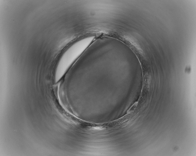 X0000093130692200710241323