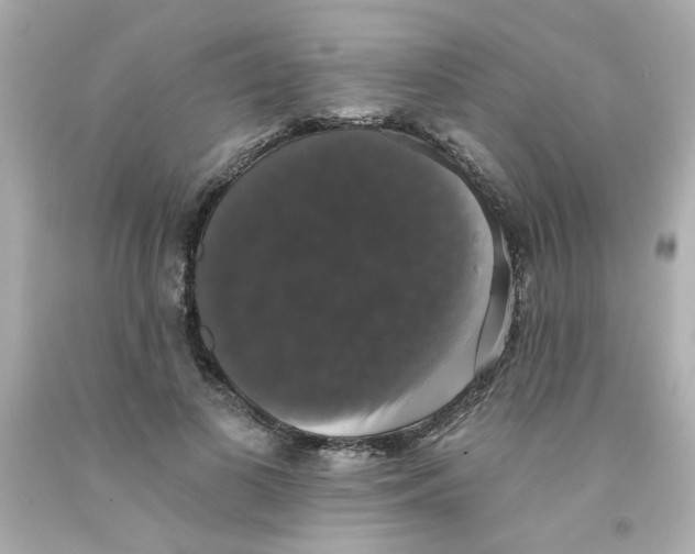 X0000093130693200710241323