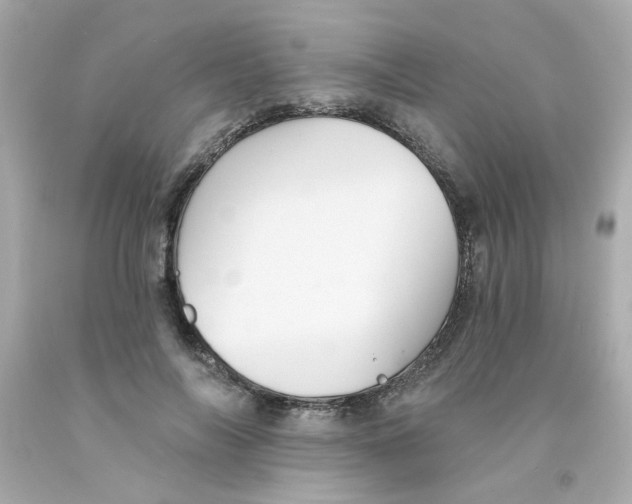 X0000093130694200710241323