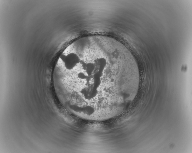 X0000093130695200710241323