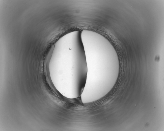 X0000093130696200710241323