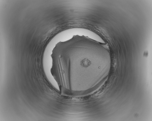 X0000093130697200710241323
