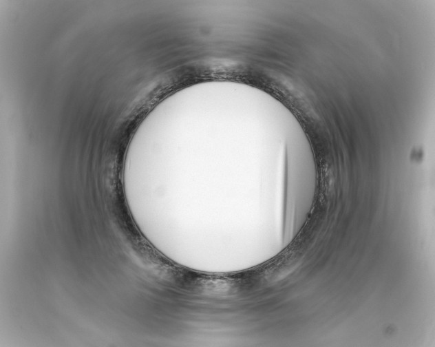 X0000093130698200710241323