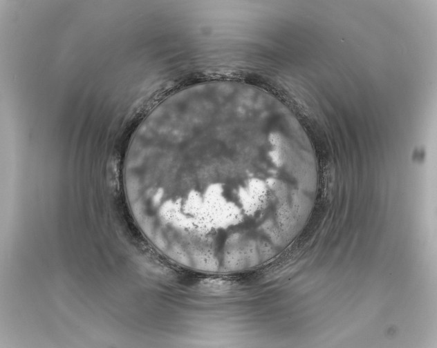 X0000093130699200710241323
