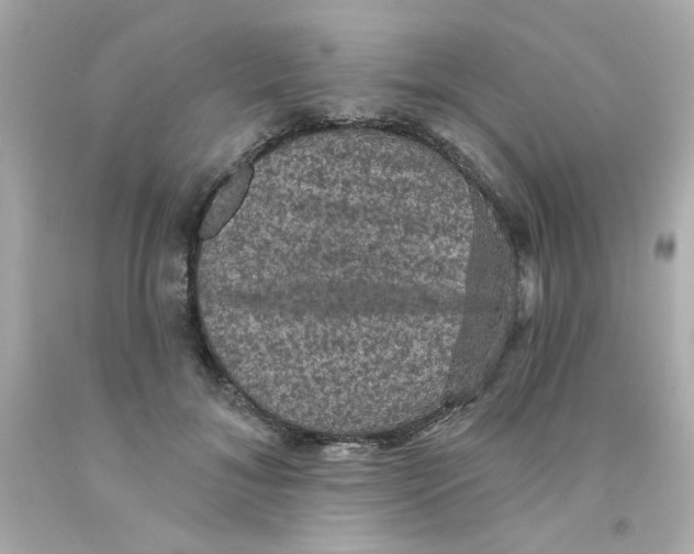 X0000093130700200710241323