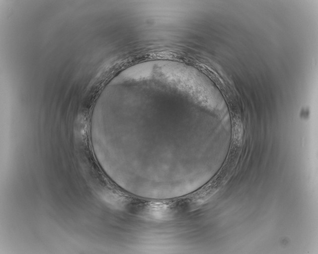 X0000093130701200710241323