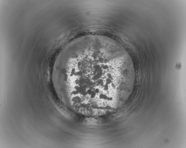 X0000093130703200710241323