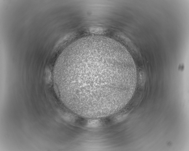 X0000093130705200710241323