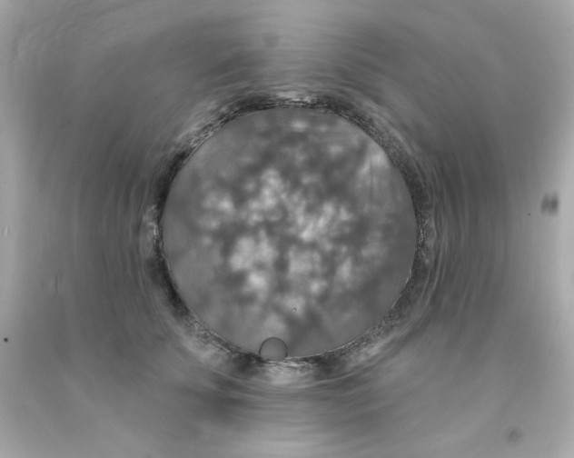 X0000093130707200710241323