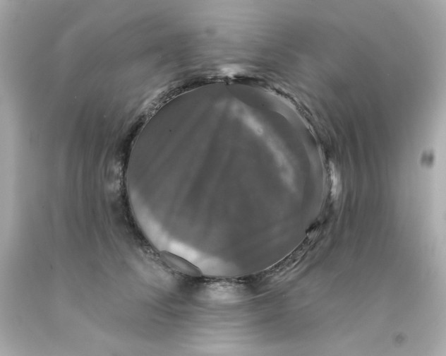 X0000093130708200710241323