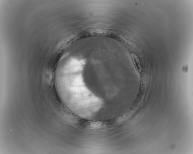X0000093130709200710241323