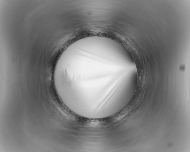 X0000093130710200710241322
