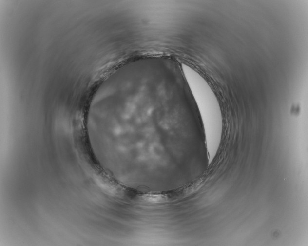 X0000093130711200710241322