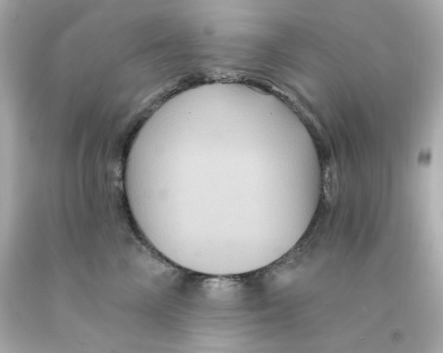 X0000093130714200710241322