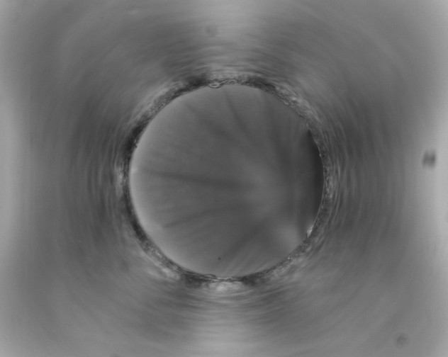 X0000093130716200710241322