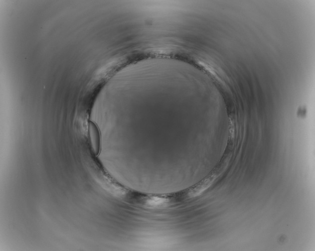 X0000093130718200710241322