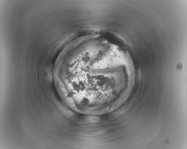 X0000093130719200710241322