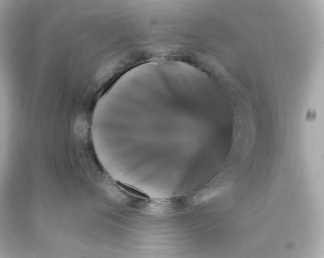 X0000093130720200710241322