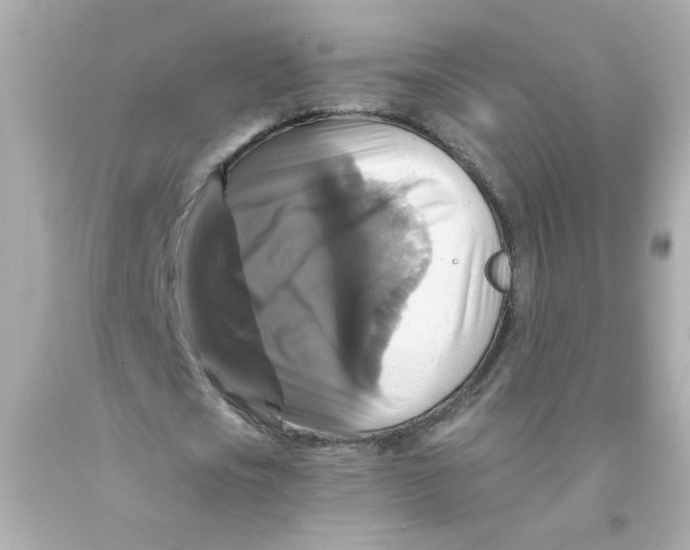 X0000093130721200710241322