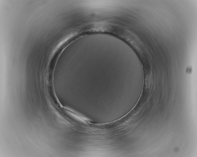 X0000093130722200710241322