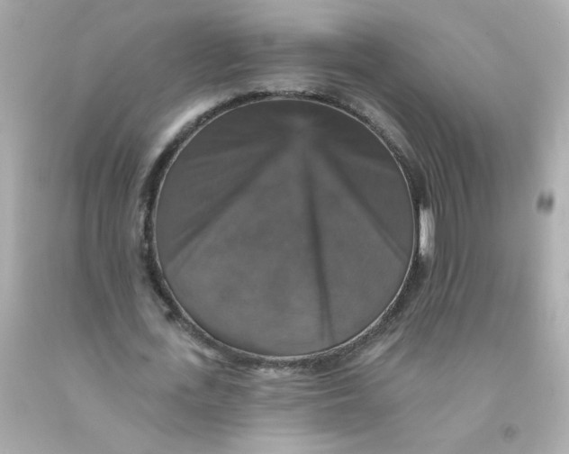 X0000093130723200710241322