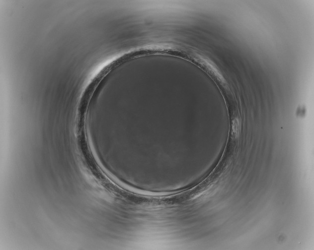 X0000093130724200710241322