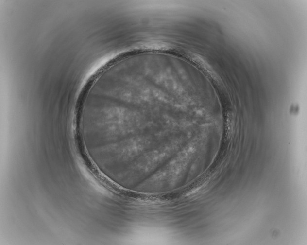 X0000093130726200710241322