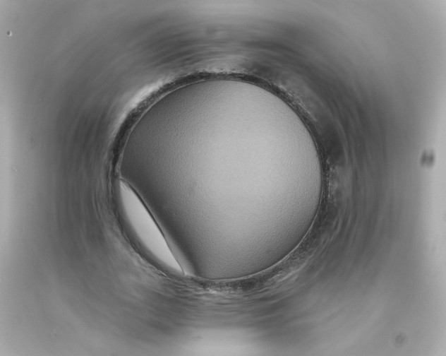 X0000093130727200710241322