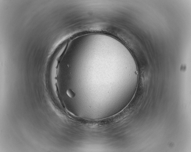 X0000093130728200710241322